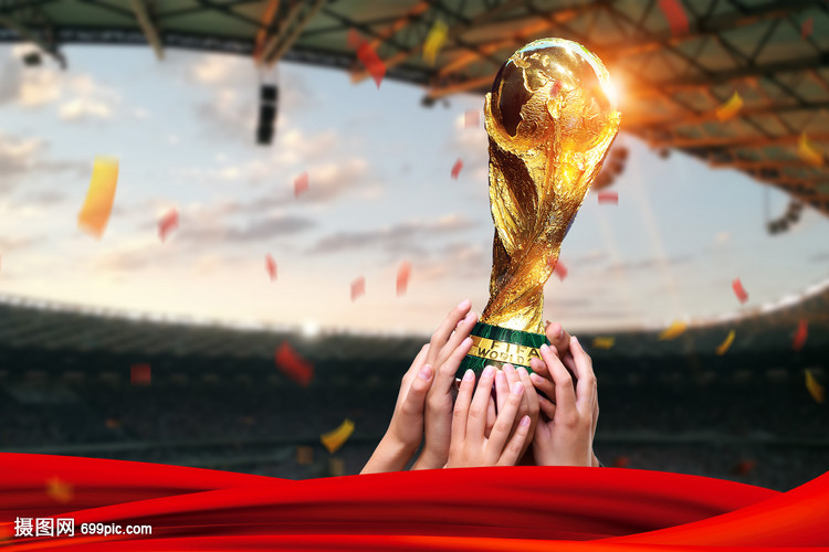 术的逐步渗 术的逐步渗