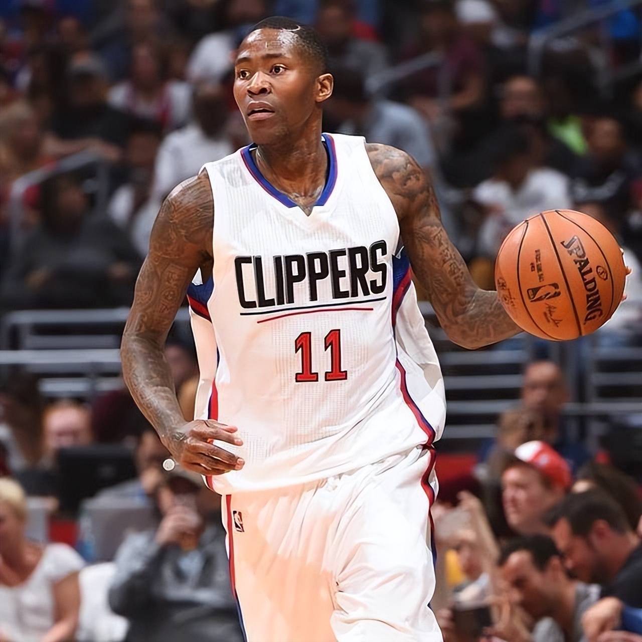 排名上占据 排名上占据