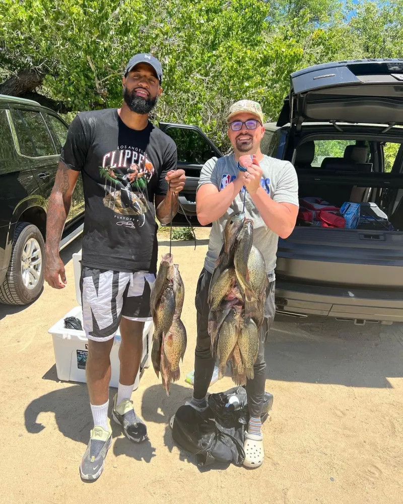 老鹰意义重 老鹰意义重