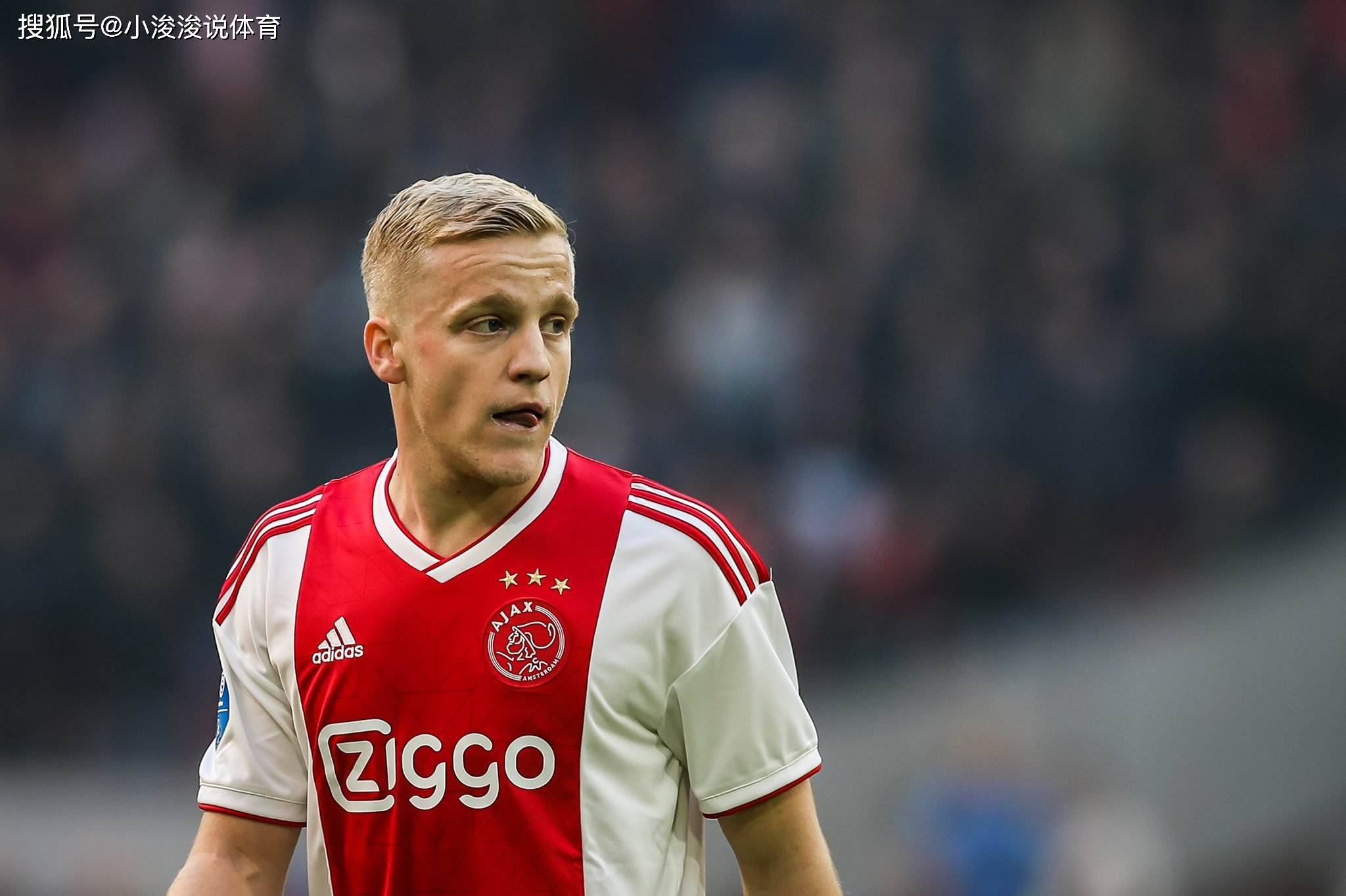 老鹰为了争 老鹰为了争