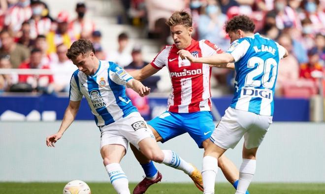 距离加盟已 距离加盟已